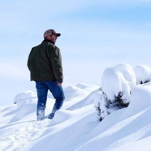 Meet your Posher, Bailey